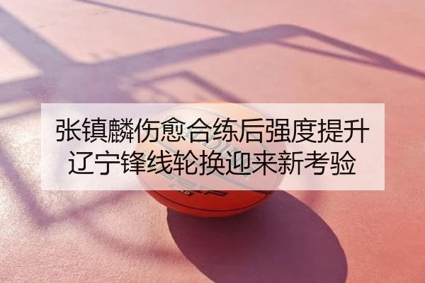 张镇麟伤愈合练后强度提升 辽宁锋线轮换迎来新考验