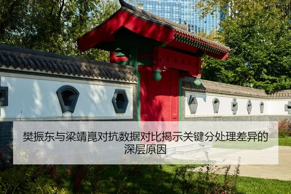 樊振东与梁靖崑对抗数据对比揭示关键分处理差异的深层原因