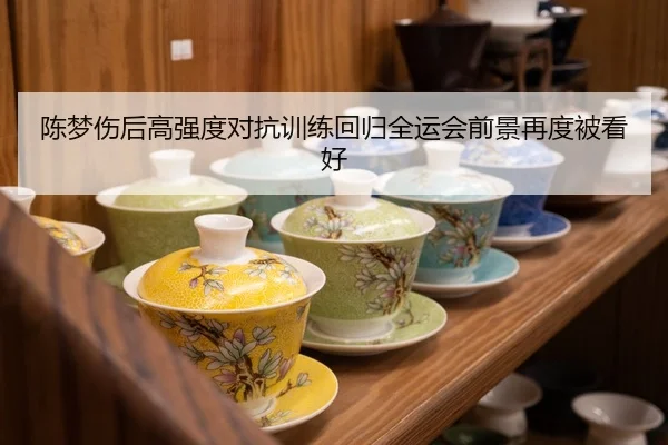 陈梦伤后高强度对抗训练回归全运会前景再度被看好