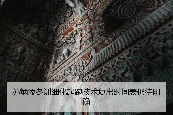 苏炳添冬训细化起跑技术复出时间表仍待明确